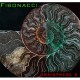 Fibonacci for Omnisphere 2.5
