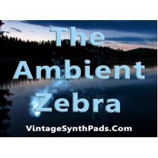Zebra Patches - The Ambient Zebra